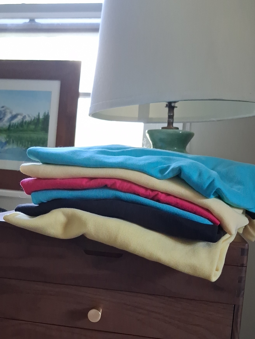 6 Piece BundleTalbots Pima Cotton Blue, Yellow, Fuchia, Black Boat Neck